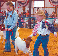 Wayne County Jr Livestock Show