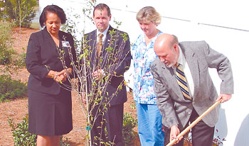 Tree planted for Dr. Ed Hogan