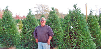 Jimmy Hinson of Teri-Jim's Christmas Trees in Dudley