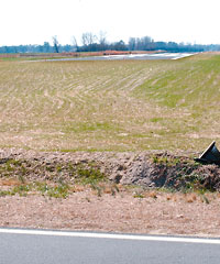 Kelly Springs Road towards the airport