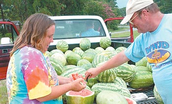 Watermelon stand on Spring Bank Road