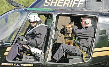 Sheriff dogs in helicopter